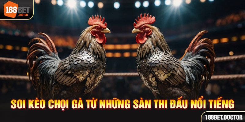 bwin app