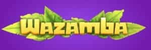Blaze.com.br